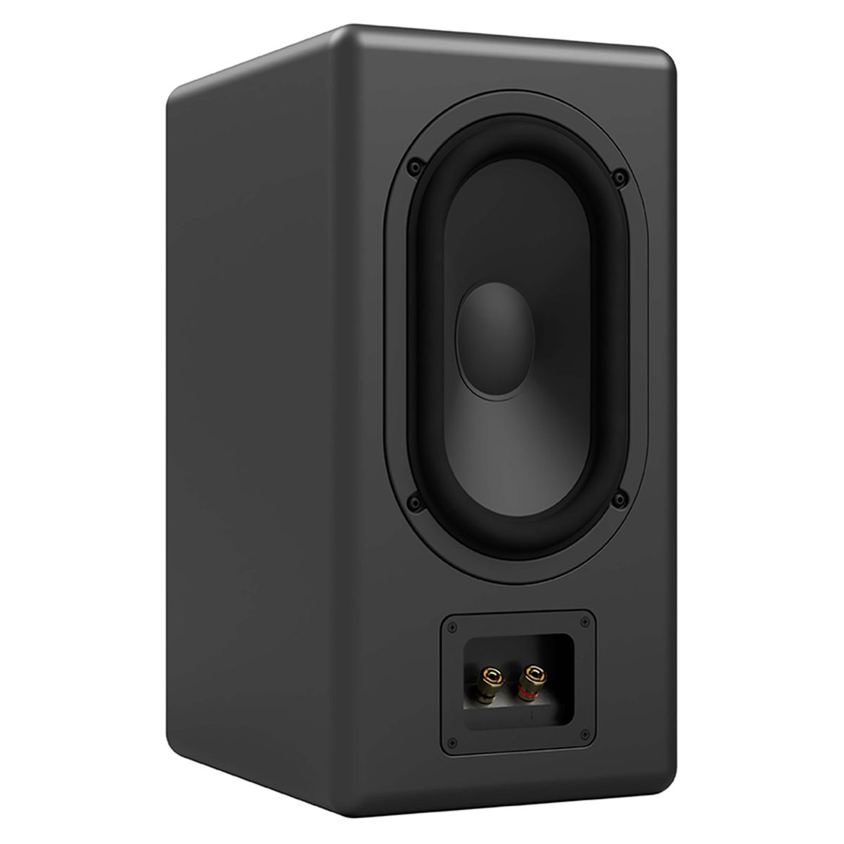 ASCILAB C6B Enceintes Bibliothèque 250W 4 Ohm 85dB Noir (La paire)