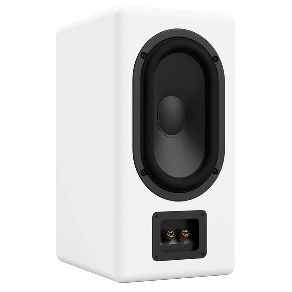 ASCILAB C6B Enceintes Bibliothèque 250W 4 Ohm 85dB Blanc (La paire)