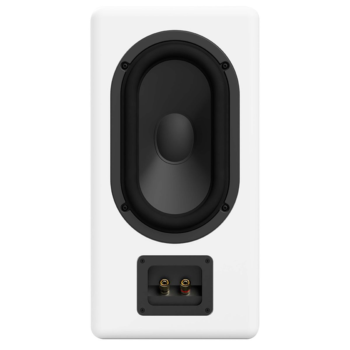 ASCILAB C6B Enceintes Bibliothèque 250W 4 Ohm 85dB Blanc (La paire)