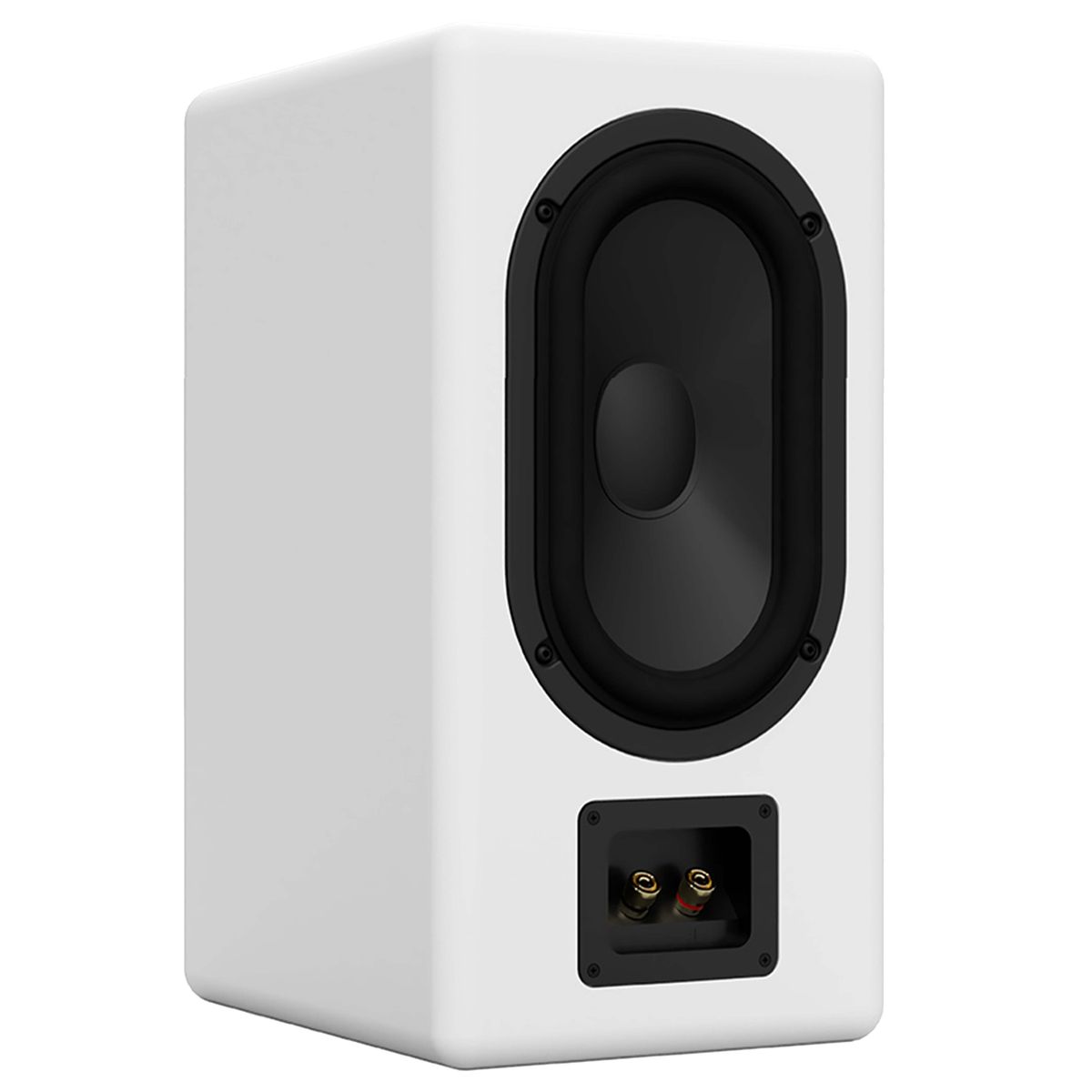 ASCILAB F6B Enceintes Bibliothèque 125W 4 Ohm 84dB Blanc (La paire)