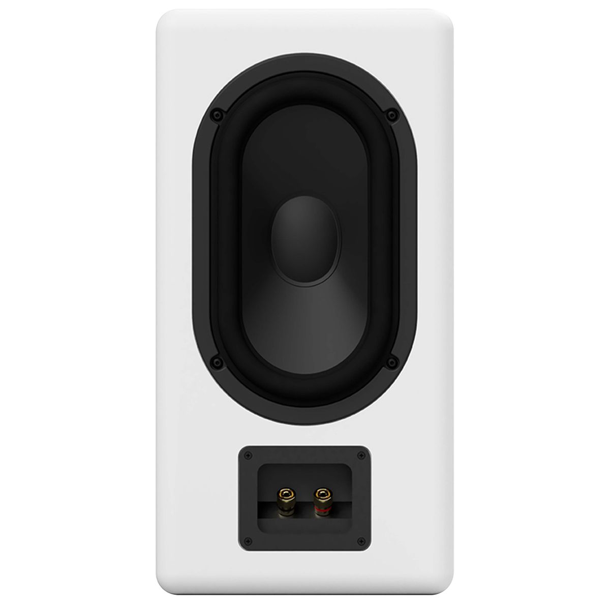 ASCILAB F6B Enceintes Bibliothèque 125W 4 Ohm 84dB Blanc (La paire)