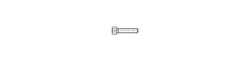 Cylindrical Head Screw